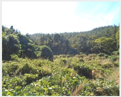  2022Ÿ��2193 ���� �ϵ��� ���ϸ� ������ 910      ����(��1)���