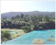  2022Ÿ��2193 ���� �ϵ��� ���ϸ� ������ 910      ����(��1)���