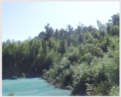  2022Ÿ��2193 ���� �ϵ��� ���ϸ� ������ 910      ����(��1)���