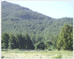  2022Ÿ��2193 ���� �ϵ��� ���ϸ� ������ 910      ����(��1)���