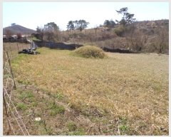  2022Ÿ��32397 ���� �ӽǱ� ����� ������ 514      ����(��1)���