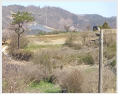  2022Ÿ��32397 ���� �ӽǱ� ����� ������ 514      ����(��1)���