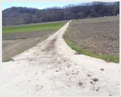  2022Ÿ��32397 ���� �ӽǱ� ����� ������ 514      ����(��1)���