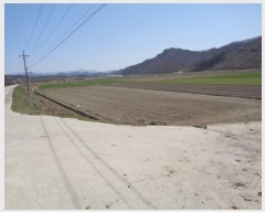  2022Ÿ��32397 ���� �ӽǱ� ����� ������ 514      ����(��1)���