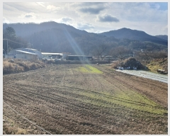  2022Ÿ��39398 ���� ���ֱ� ȭ��� ��긮 458-1      ����(��1)���