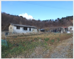  2022Ÿ��39398 ���� ���ֱ� ȭ��� ��긮 458-1      ����(��1)���