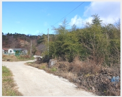  2022Ÿ��39398 ���� ���ֱ� ȭ��� ��긮 458-1      ����(��1)���