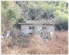  2022Ÿ��39398 ���� ���ֱ� ȭ��� ��긮 458-1      ����(��1)���