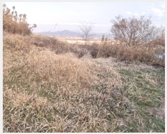  2022Ÿ��39862 ���� ������ ������ 308-3       ����(��1)���