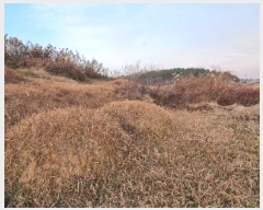  2022Ÿ��39862 ���� ������ ������ 308-3       ����(��1)���