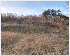  2022Ÿ��39862 ���� ������ ������ 308-3       ����(��1)���