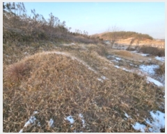  2022Ÿ��39862 ���� ������ ������ 308-3       ����(��1)���