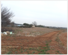  2022Ÿ��21048  �����