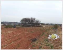  2022Ÿ��21048  �����