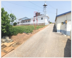  2022Ÿ��1785 ���� �ͻ�� Ȳ��� �ż��� 241-10      ����(�Ӿ�)���