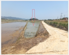  2022Ÿ��1785 ���� �ͻ�� Ȳ��� �ż��� 241-10      ����(�Ӿ�)���