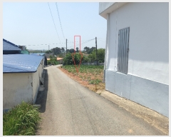  2022Ÿ��1785 ���� �ͻ�� Ȳ��� �ż��� 241-10      ����(�Ӿ�)���