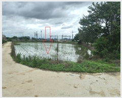  2022Ÿ��23150 ���� �ͻ�� �뵿�� ��ո� 406-1      ���ð��