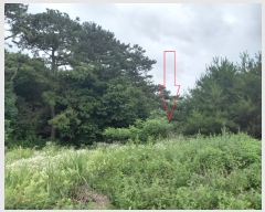  2022Ÿ��23150 ���� �ͻ�� �뵿�� ��ո� 406-1      ���ð��