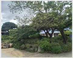  2022Ÿ��23150 ���� �ͻ�� �뵿�� ��ո� 406-1      ���ð��