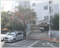  2022Ÿ23822  ͻ ȭ73 38, 904 2 201ȣ (μ۵,μ۵ ׶)  Ʈ