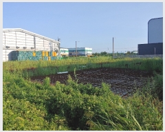  2022Ÿ2696  ͻ ձø ϸ 1302      ()