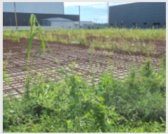  2022Ÿ2696  ͻ ձø ϸ 1302      ()