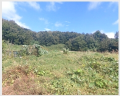  2022Ÿ447    ƻ긮 200      (1)