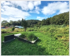  2022Ÿ447    ƻ긮 200      (1)