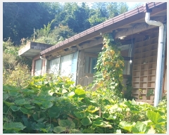  2022Ÿ447    ƻ긮 200      (1)