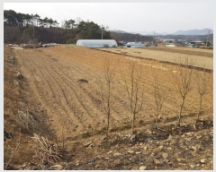  2022Ÿ��191 ���� ������ ������ ���渮 901-5      ����(��)���