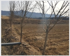  2022Ÿ��191 ���� ������ ������ ���渮 901-5      ����(��)���