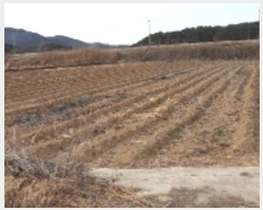  2022Ÿ��191 ���� ������ ������ ���渮 901-5      ����(��)���