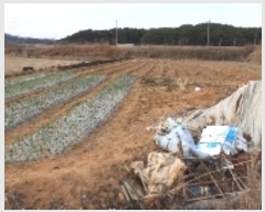  2022Ÿ��191 ���� ������ ������ ���渮 901-5      ����(��)���