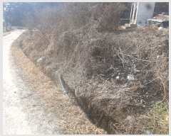  2022Ÿ31751     60-1      ()