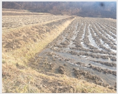  2022Ÿ31751     60-1      ()