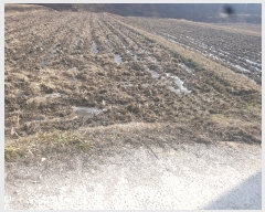  2022Ÿ31751     60-1      ()