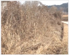  2022Ÿ31751     60-1      ()