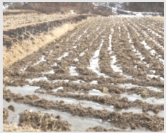  2022Ÿ31751     60-1      ()