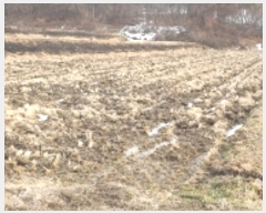  2022Ÿ31751     60-1      ()