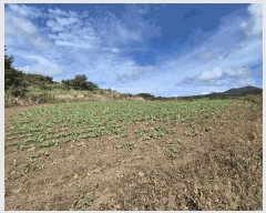  2022Ÿ��6104 ���� ���ֽ� �ֿ��� ������ 130      ����(�������)���