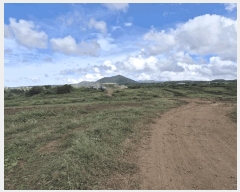  2022Ÿ��6104 ���� ���ֽ� �ֿ��� ������ 130      ����(�������)���