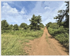  2022Ÿ��6104 ���� ���ֽ� �ֿ��� ������ 130      ����(�������)���