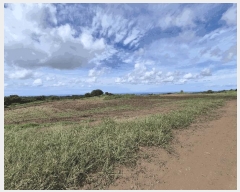  2022Ÿ��6104 ���� ���ֽ� �ֿ��� ������ 130      ����(�������)���