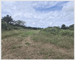  2022Ÿ��6104 ���� ���ֽ� �ֿ��� ������ 130      ����(�������)���