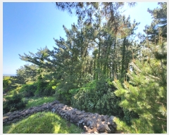  2022Ÿ��22458 ���� �������� ������ ��� 3615      ����(�Ӿ�)���