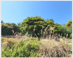  2022Ÿ��22458 ���� �������� ������ ��� 3615      ����(�Ӿ�)���