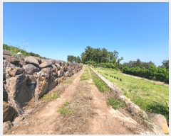  2022Ÿ��22458 ���� �������� ������ ��� 3615      ����(�Ӿ�)���