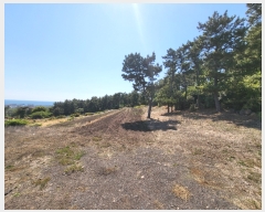  2022Ÿ��22458 ���� �������� ������ ��� 3615      ����(�Ӿ�)���