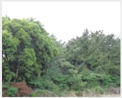  2022Ÿ��22458 ���� �������� ������ ��� 3615      ����(�Ӿ�)���